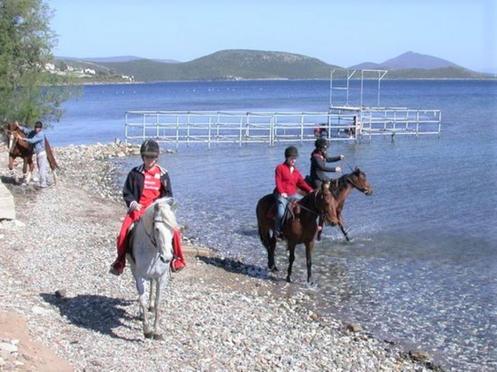 Bodrum At Safari Turu 