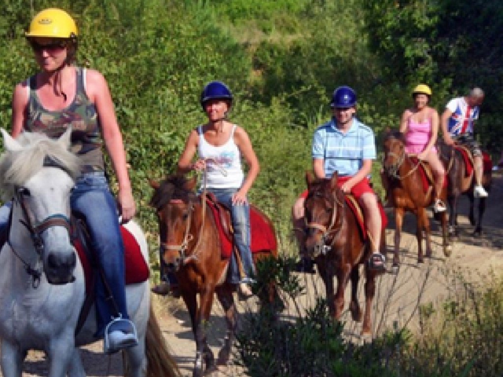 Bodrum Horse Safari