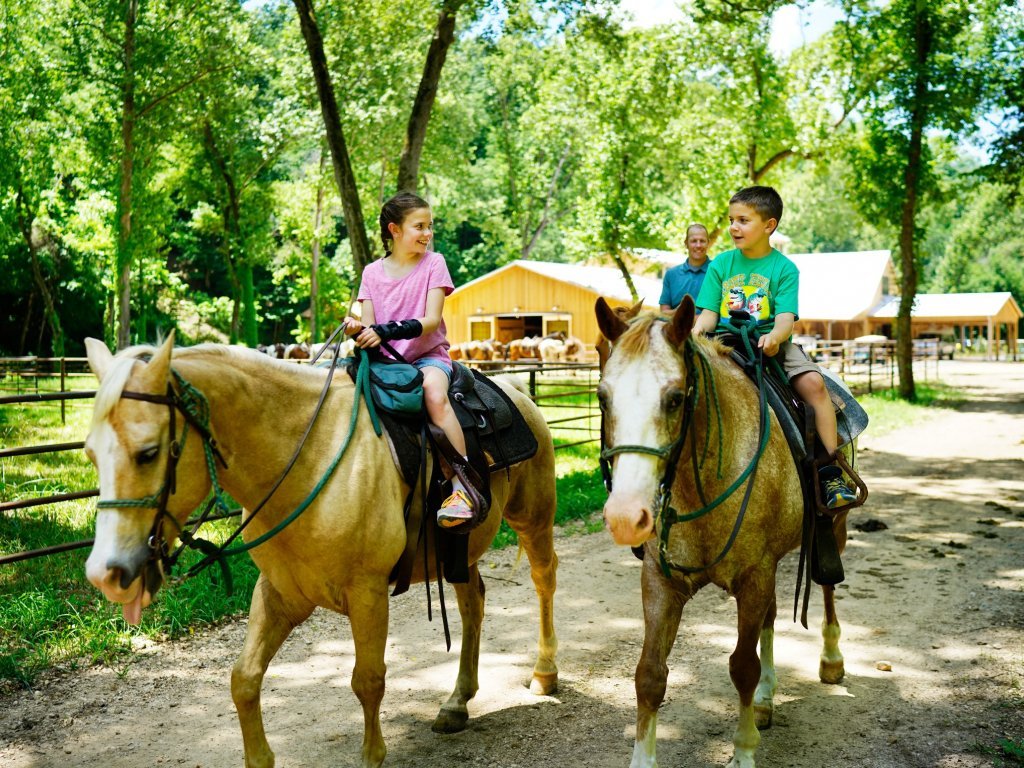 Bodrum Horse Safari