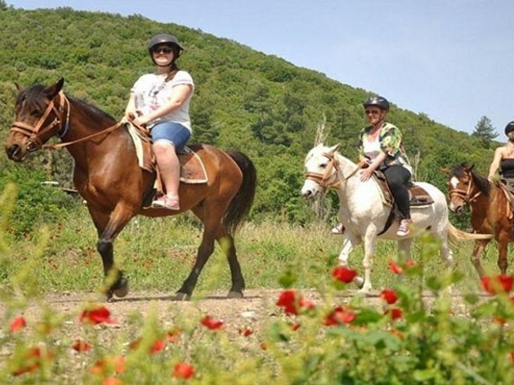 Bodrum At Safari Turu 