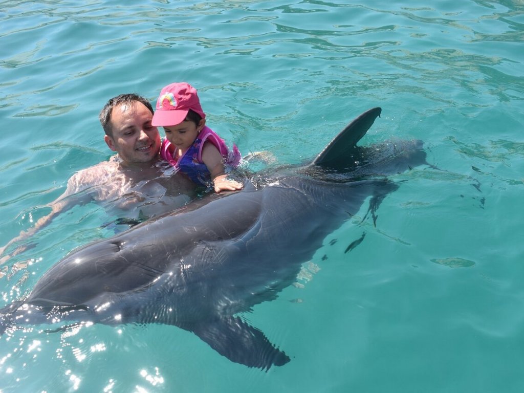 Bodrum Dolphin Park Yunuslar ile Yüzme
