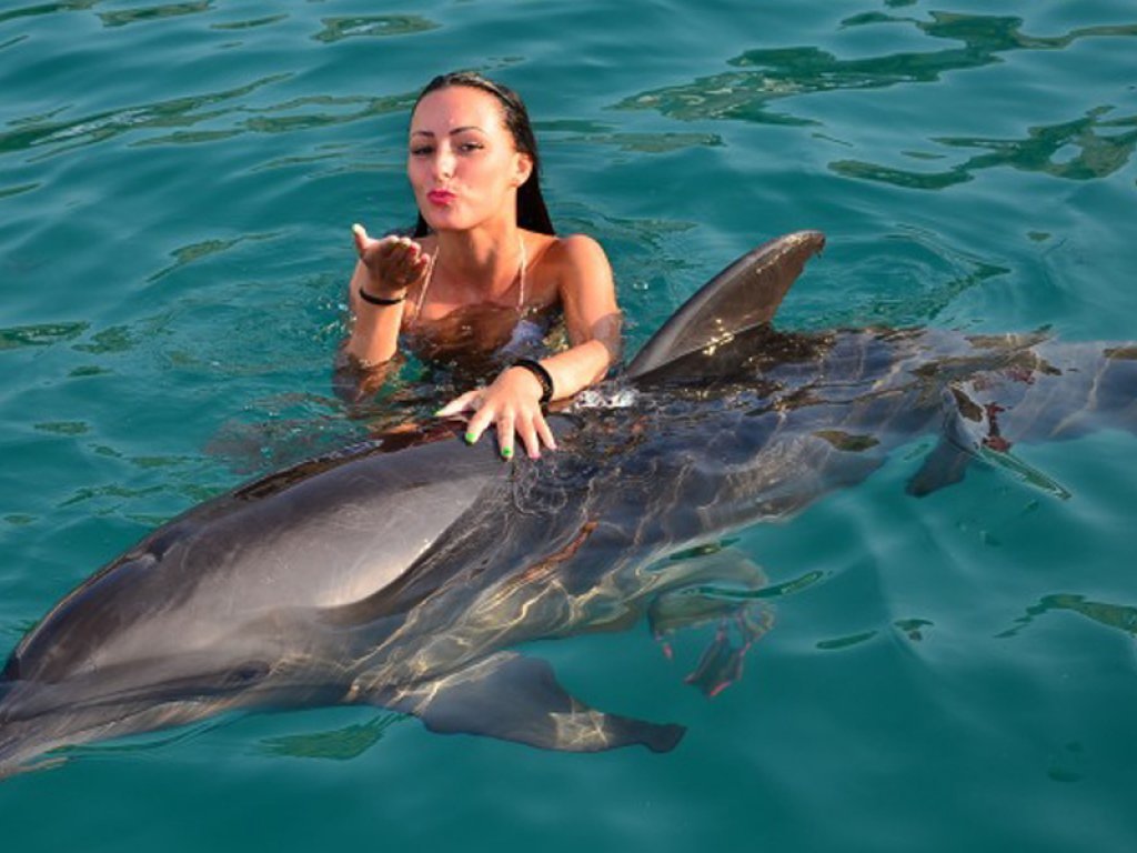 Bodrum Dolphin Park Yunuslar ile Yüzme