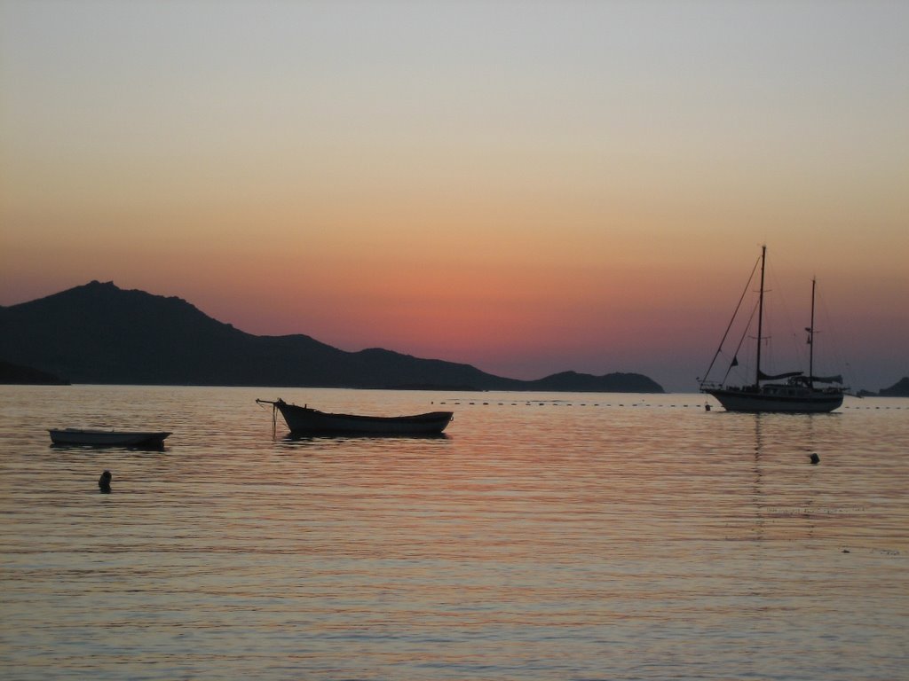 Bodrum Gümbet Çıkışlı Akvaryum Koyu Tekne Turu 