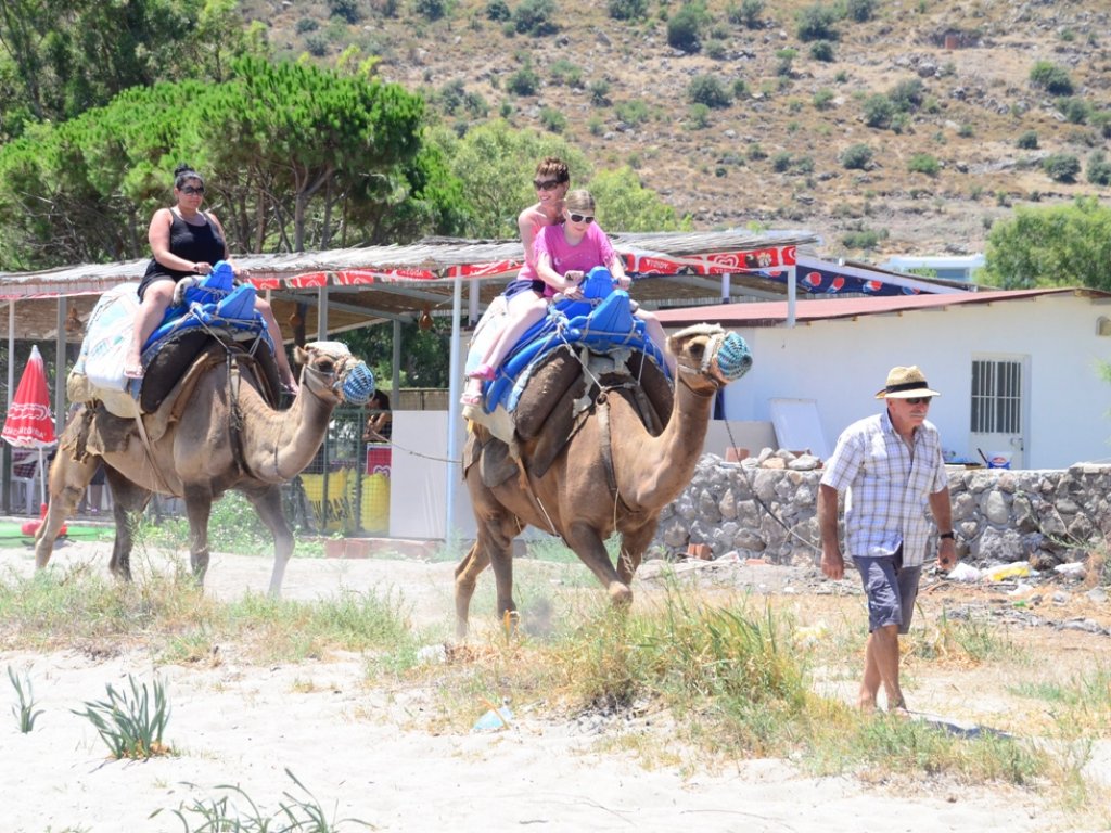 Bodrum Aquarium Bay Daily Boat Trip 