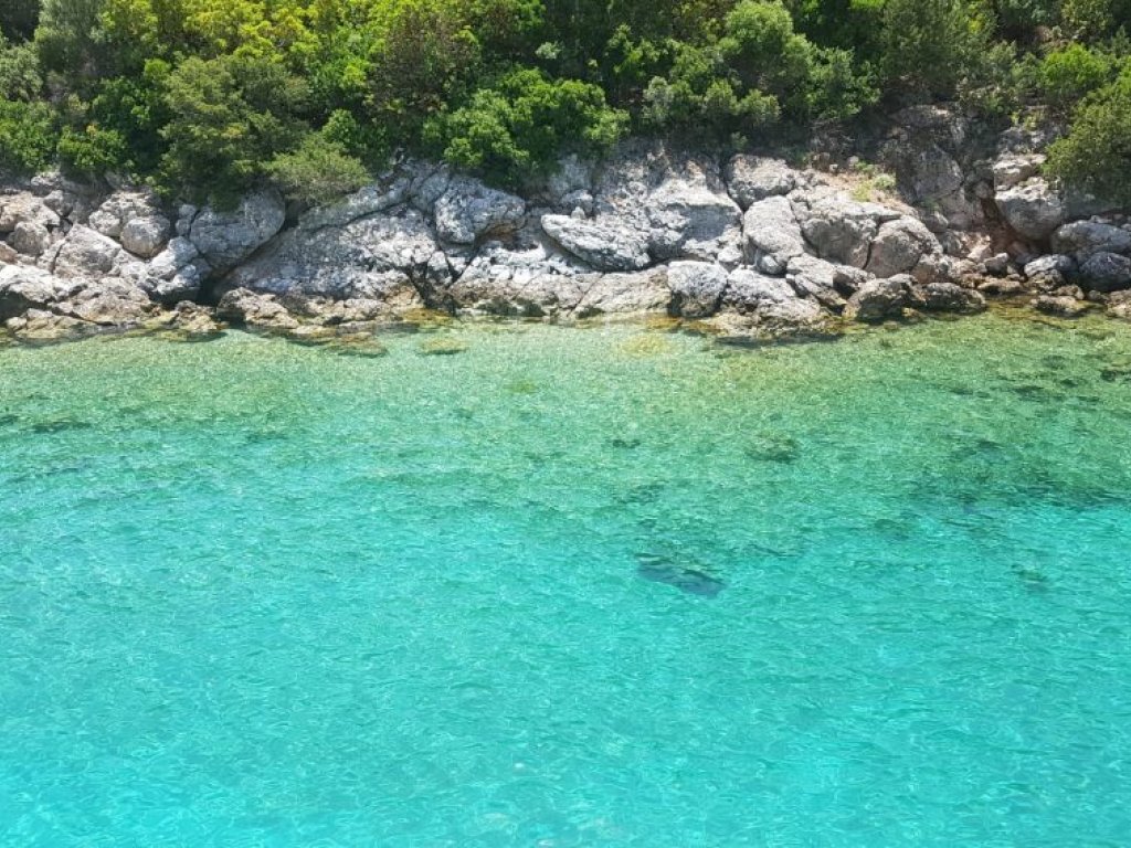 Bodrum Orak Adası Gruplara Özel Tekne Turu 