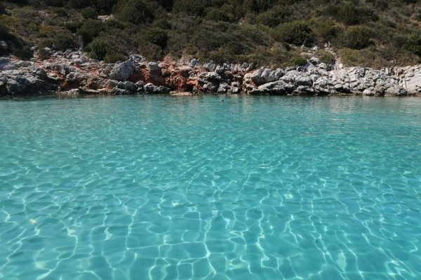 Bodrum Orak Adası Gruplara Özel Tekne Turu 