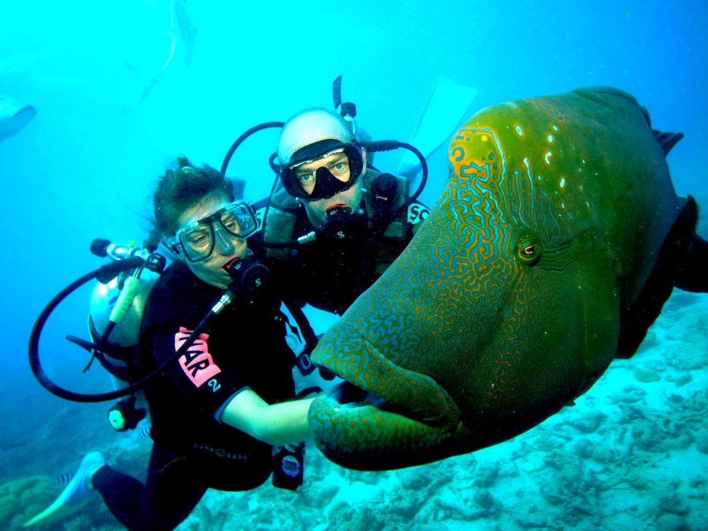 Bodrum Diving Tour