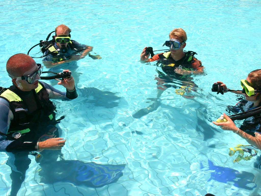 Bodrum Diving Tour