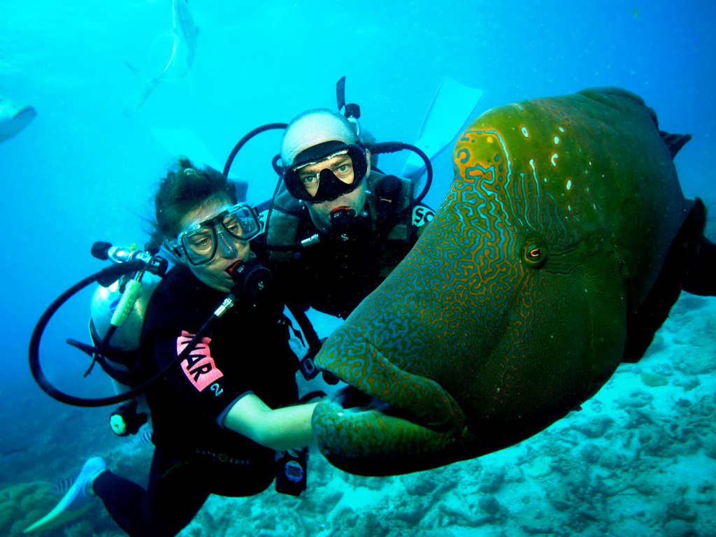 Bodrum Diving Tour