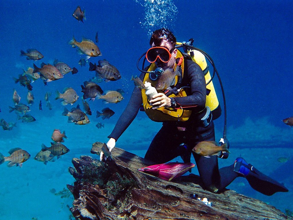 Bodrum Diving Tour