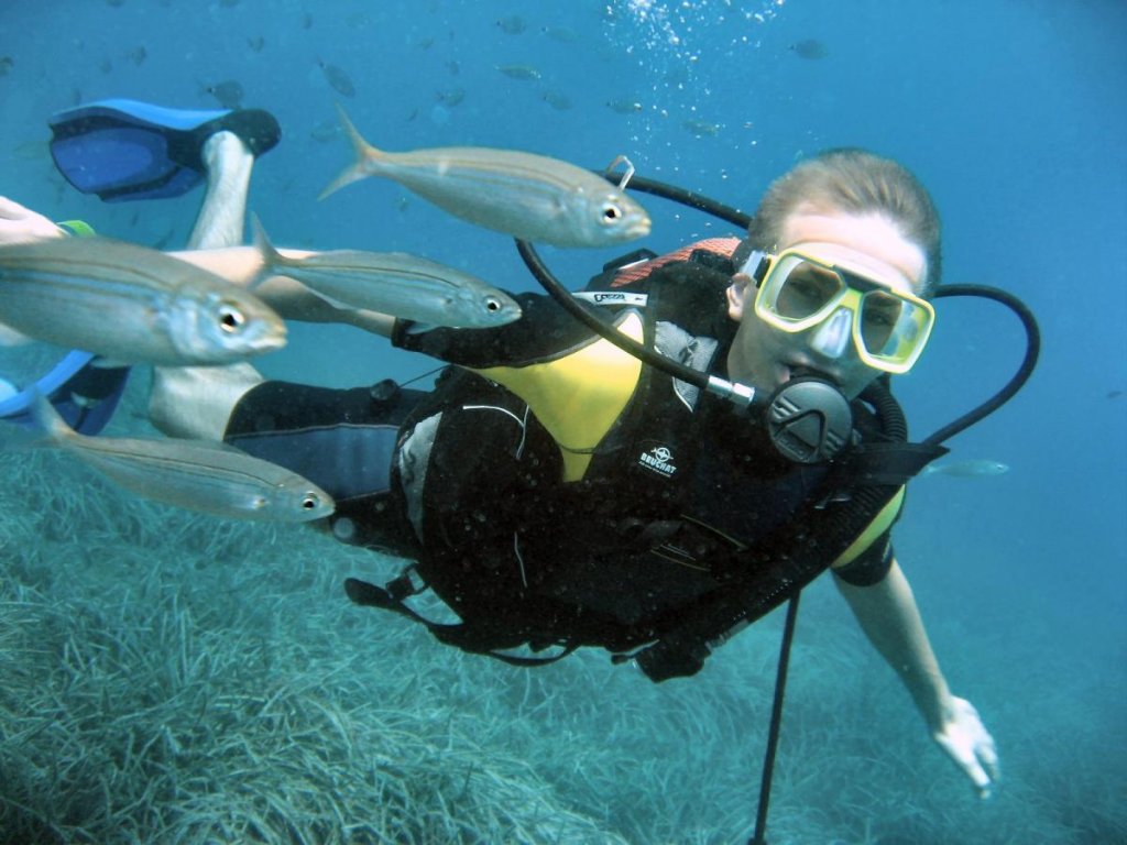 Bodrum Diving Tour