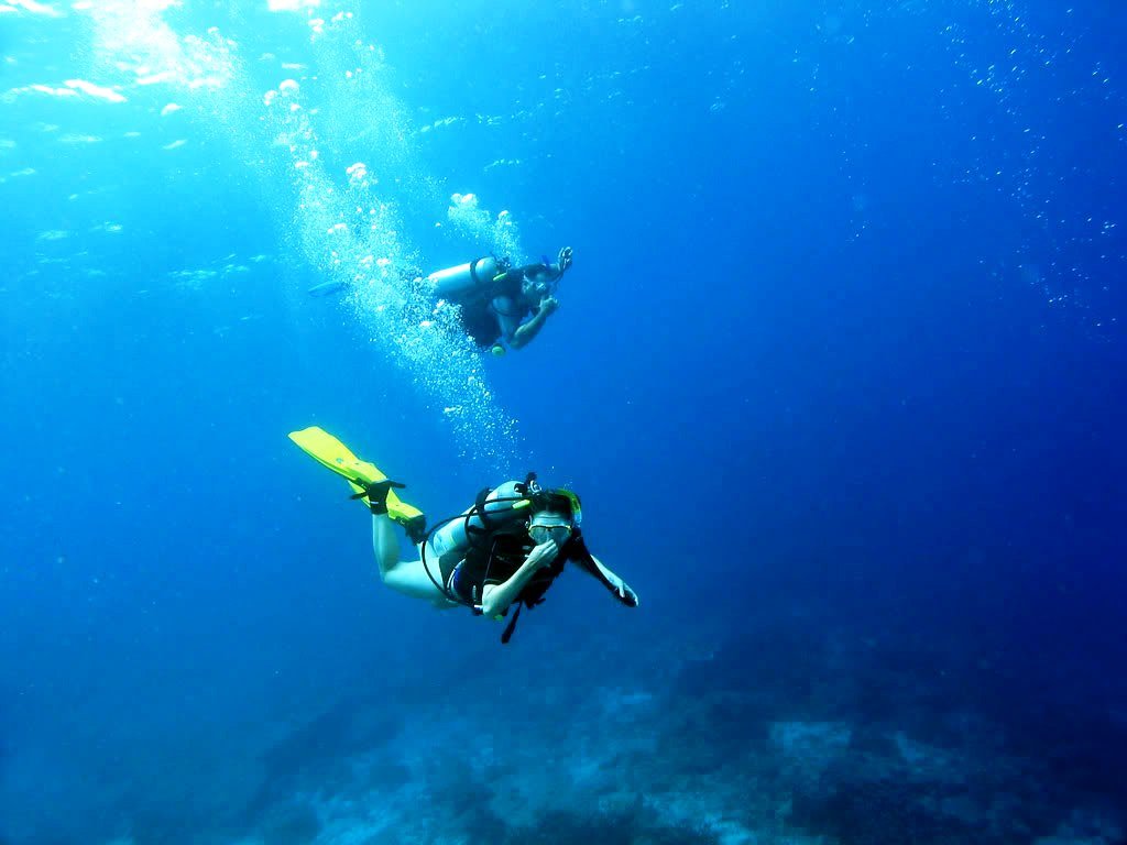 Bodrum Dalış Turu