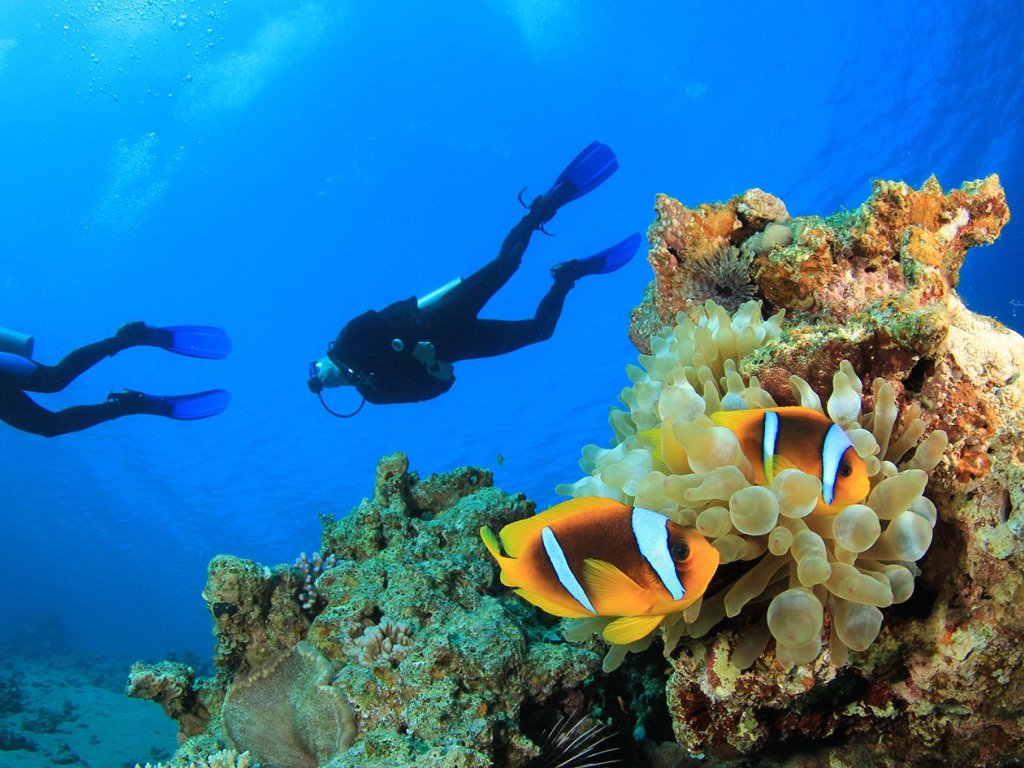 Bodrum Diving Tour