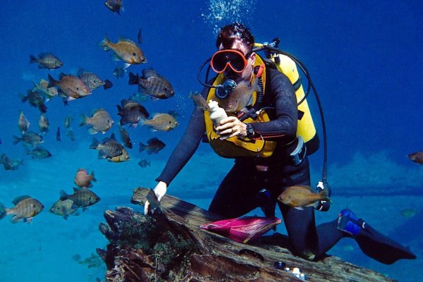 Bodrum Diving Tour