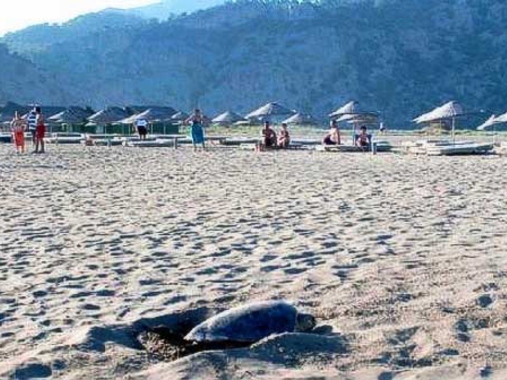 Bodrum Çıkışlı Dalyan Turu