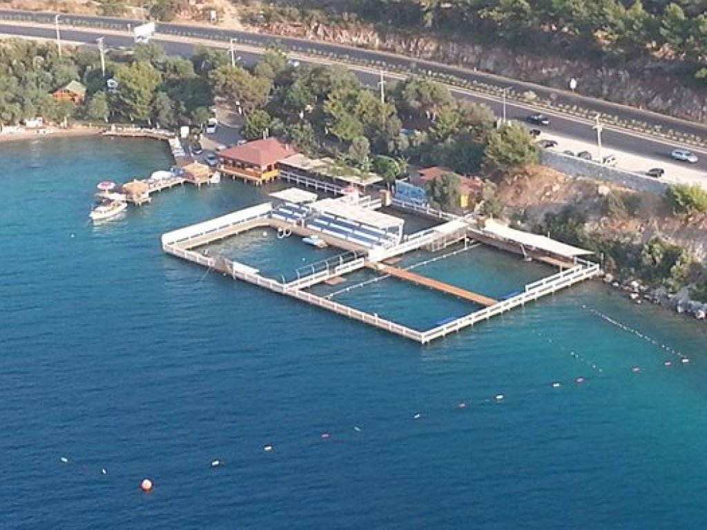 Bodrum Dolphin Park Dolphin Show