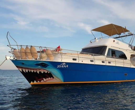 Motoryacht Syana 14 meters, 8 people